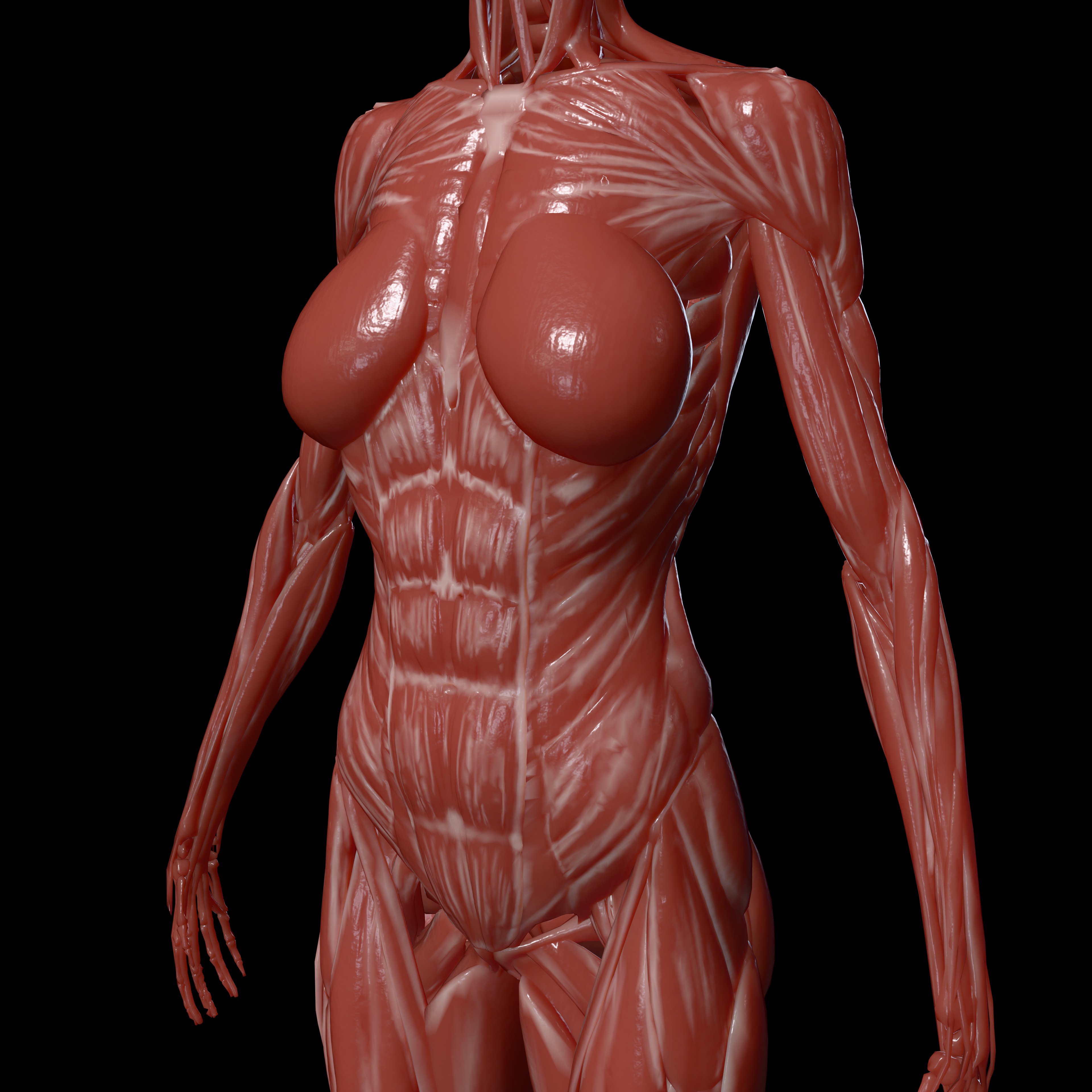 4K Slim Muscle Render - Slim muscle visualization