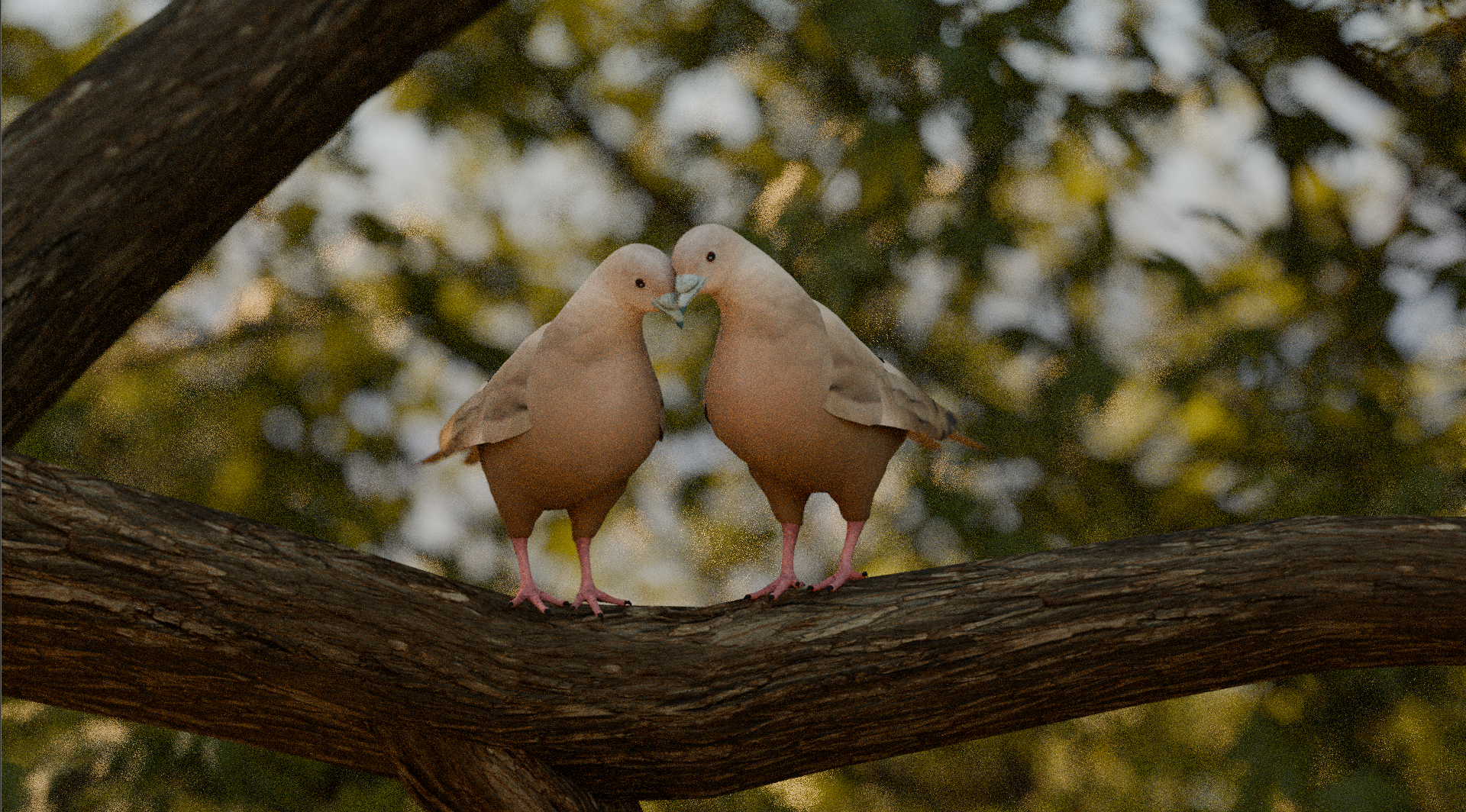 Jhorle Lapha - Lovely Bird scene